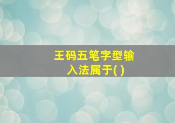 王码五笔字型输入法属于( )